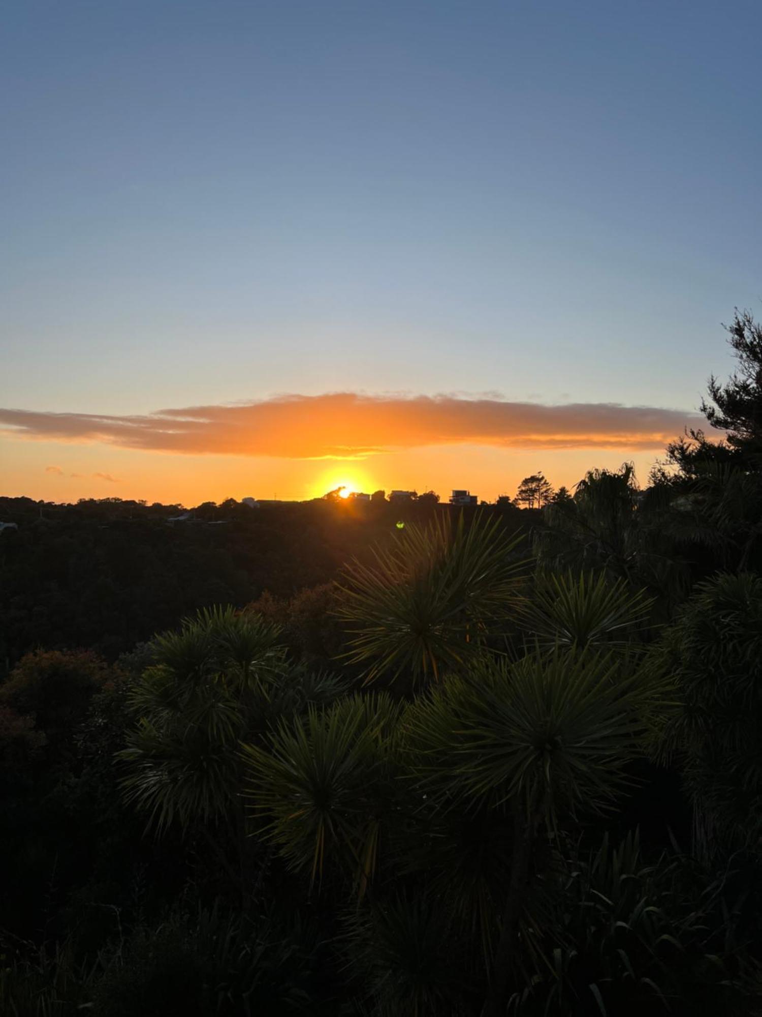 Tutukaka Sunrise Lejlighed Eksteriør billede